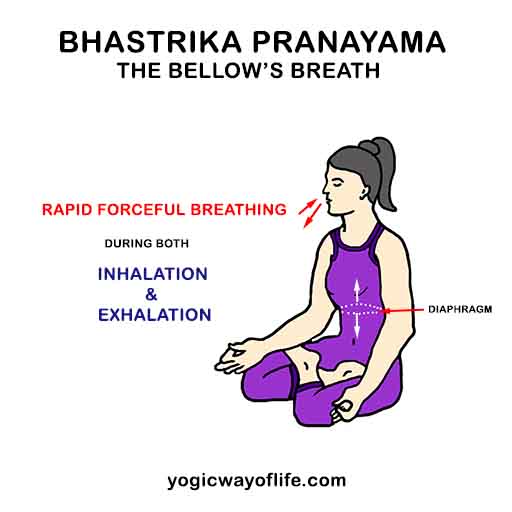 Bhastrika_Pranayama_Yoga_Bellows_Breath.jpg