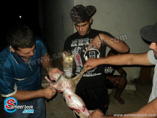 muslims-kill-a-cat-2.jpeg